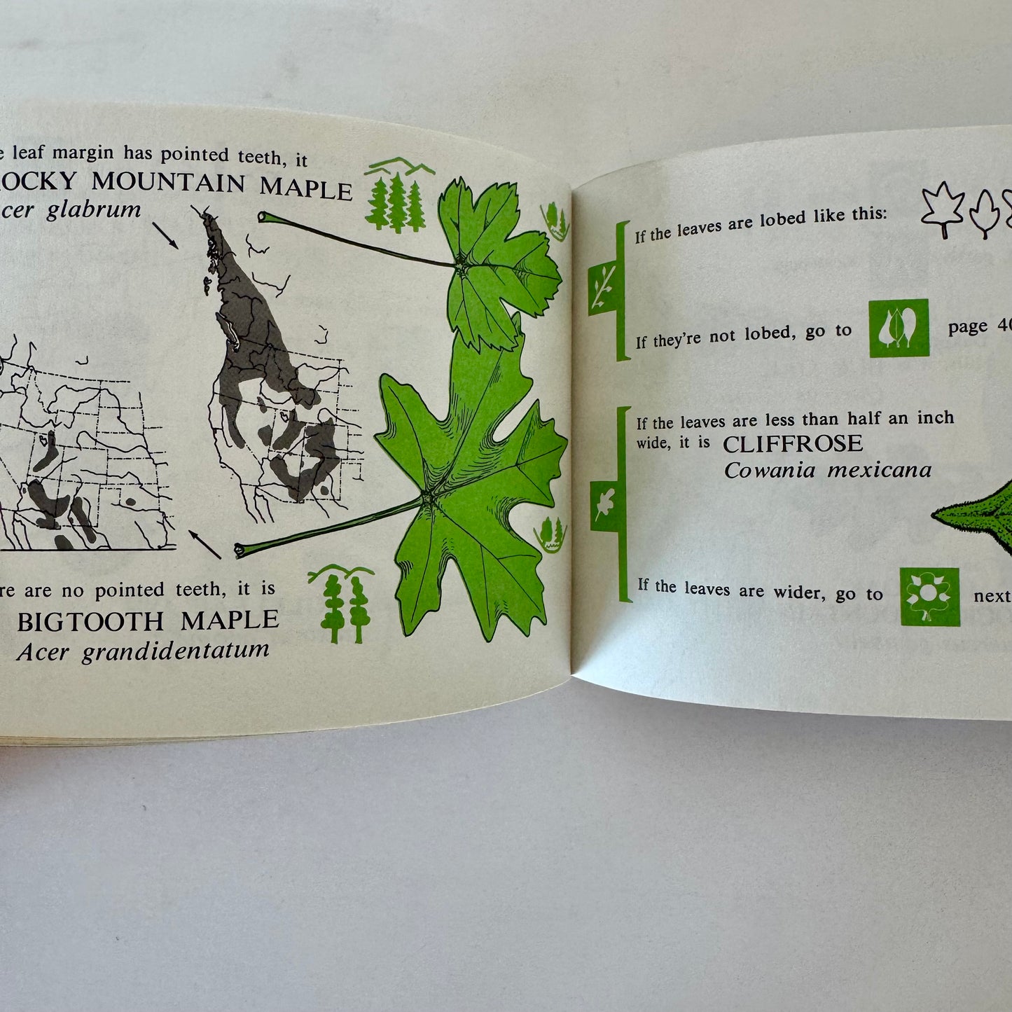Rocky Mountain Tree Finder, 1972 Pocket Field Guide