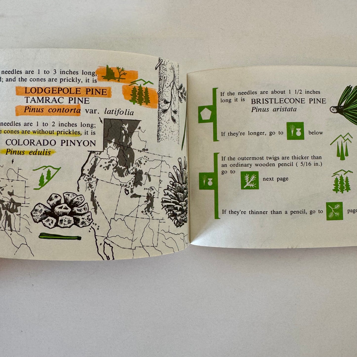 Rocky Mountain Tree Finder, 1972 Pocket Field Guide