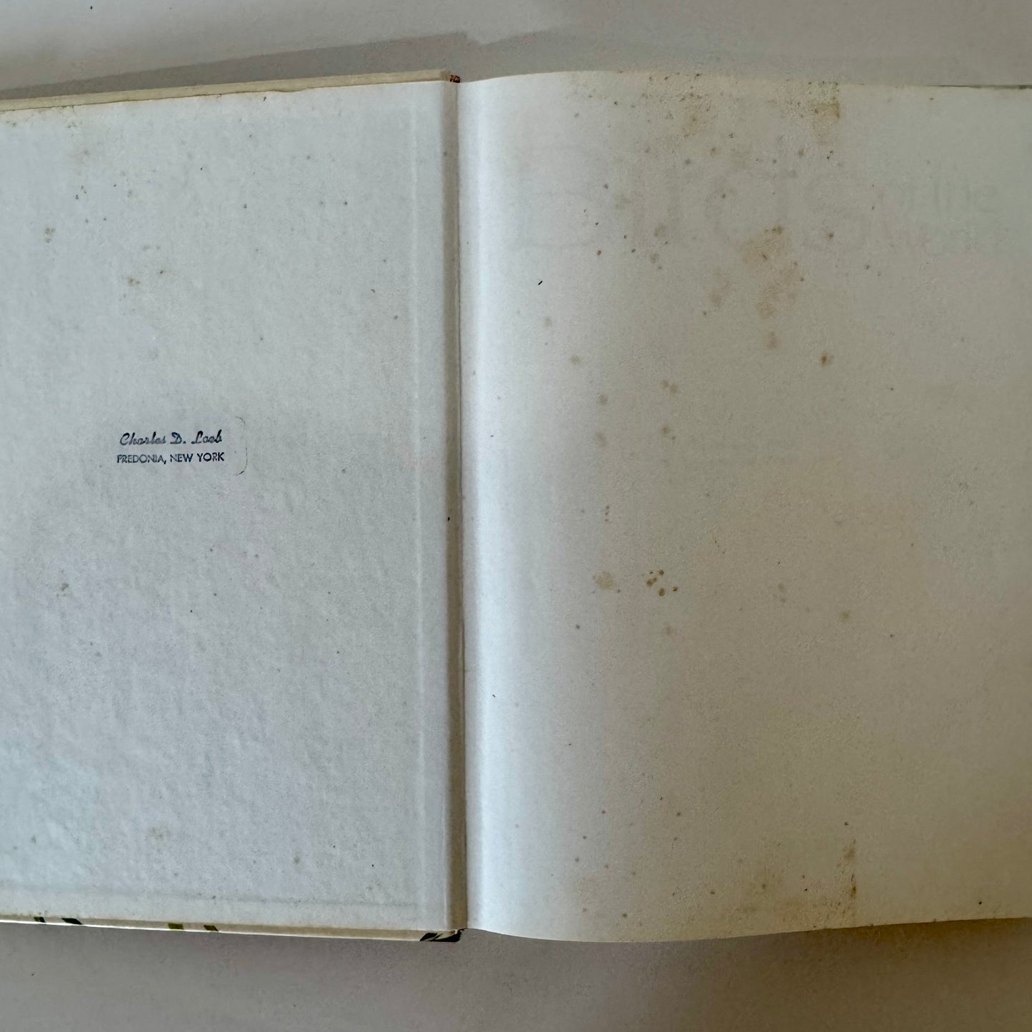 Birds of the World, Golden Press Oversized Hardcover 1983