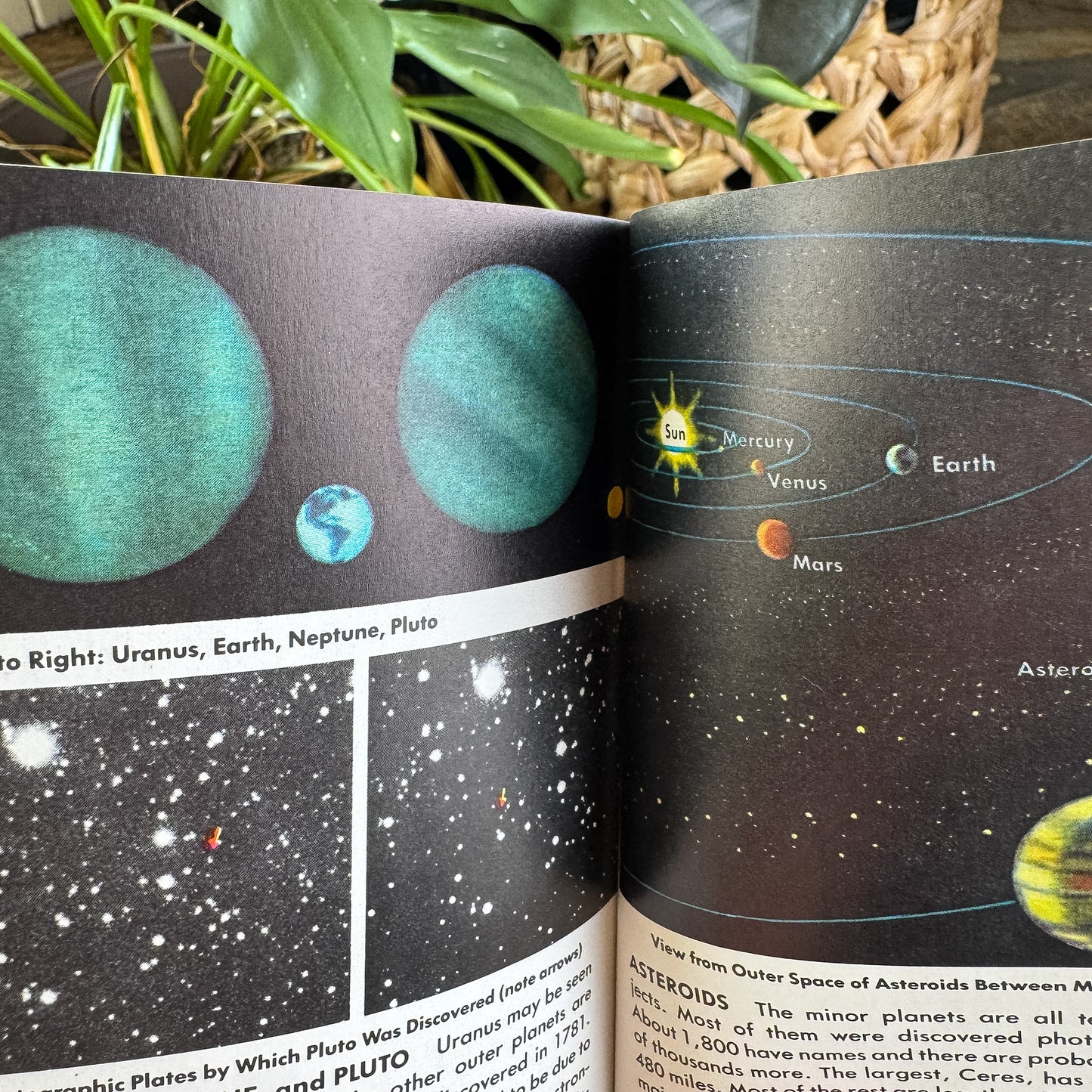 Stars, A Golden Guide, 1985