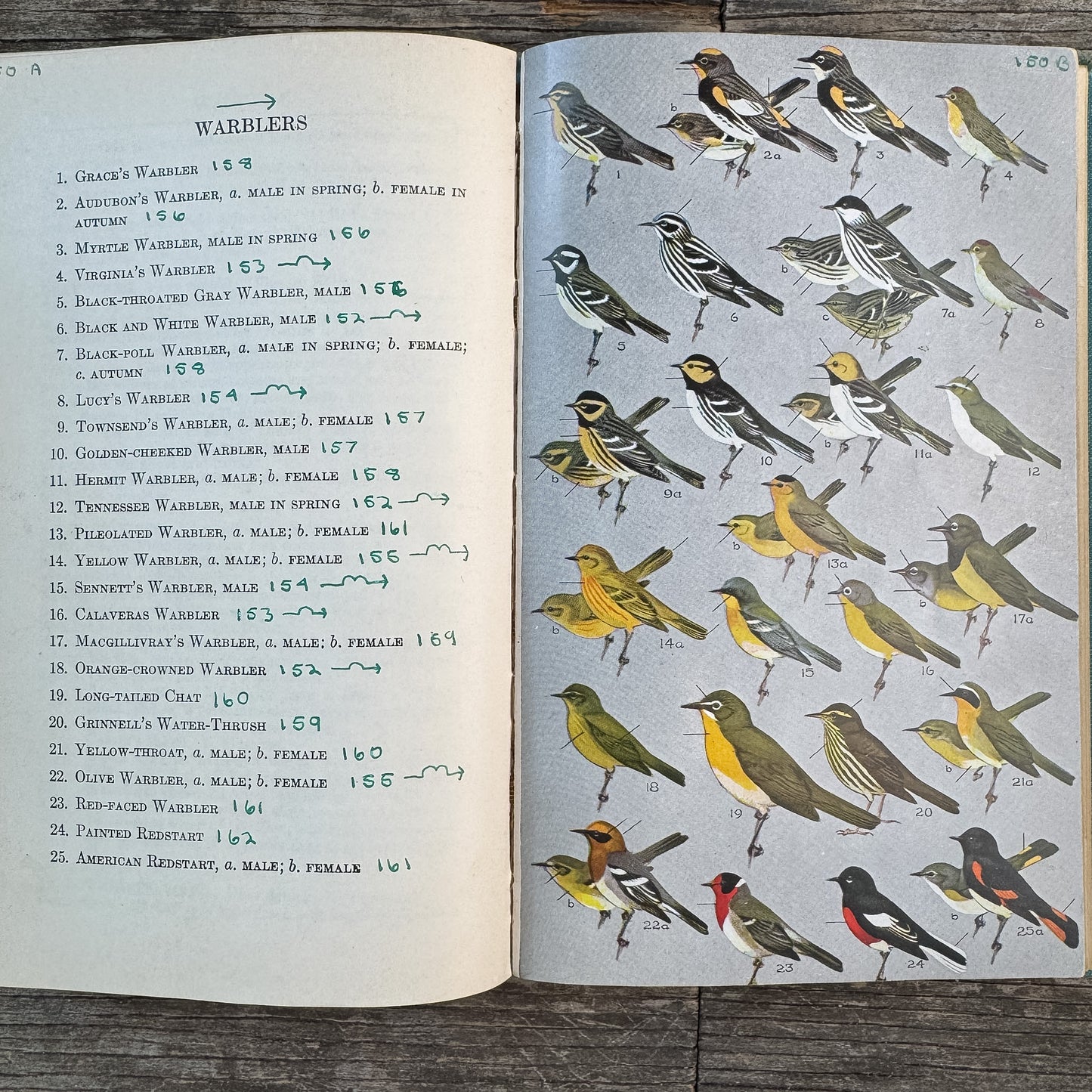 A Field Guide to Western Birds, Roger Tory Peterson, 1941