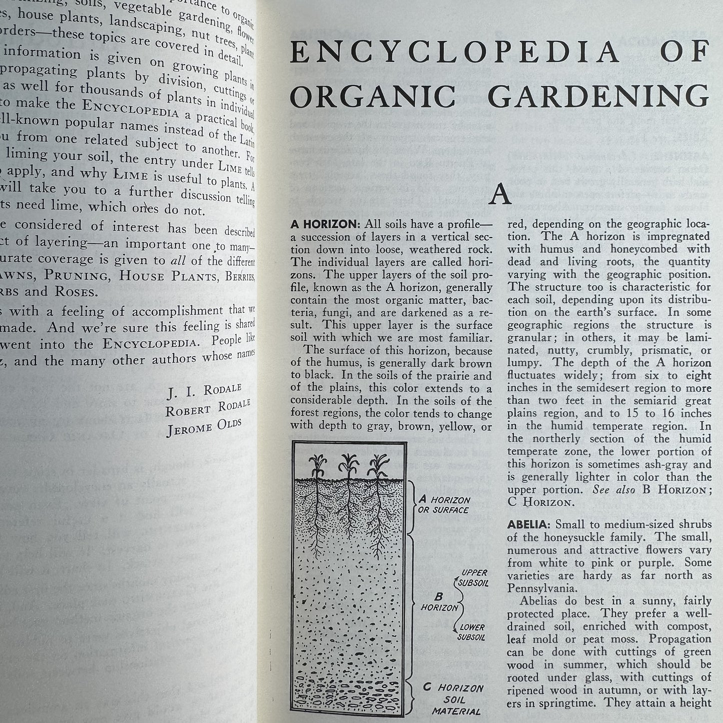 Encyclopedia of Organic Gardening, J.I. Rodale, 1977