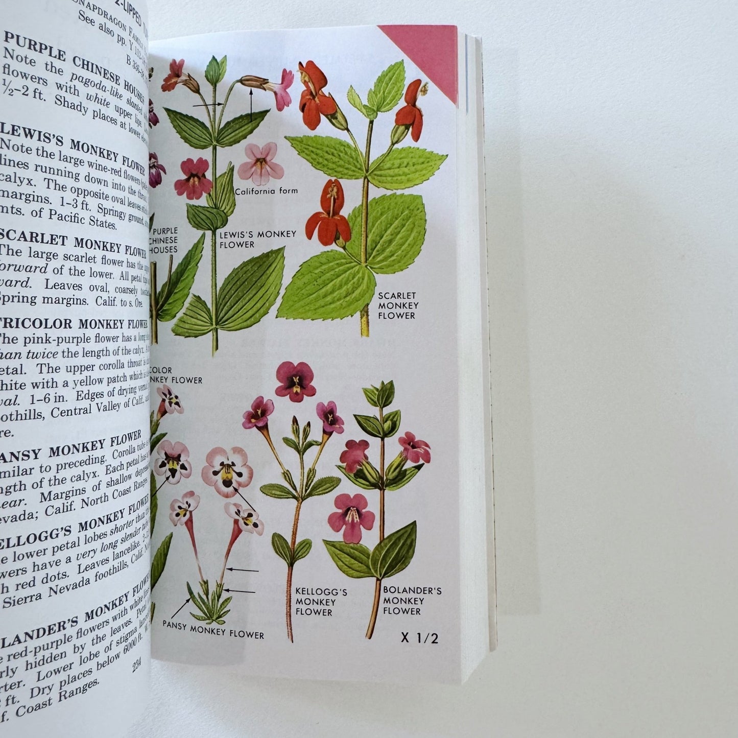 A Field Guide to Pacific States Wildflowers, 1976, Roger Tory Peterson - Pretty Old Books