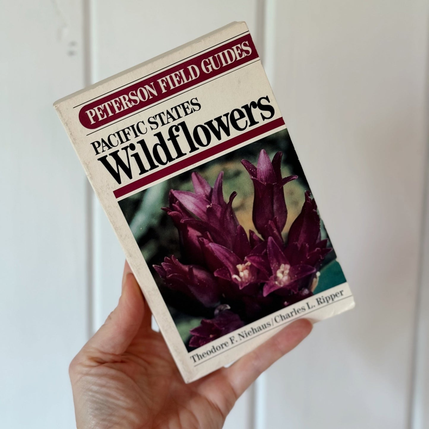 A Field Guide to Pacific States Wildflowers, 1976, Roger Tory Peterson - Pretty Old Books