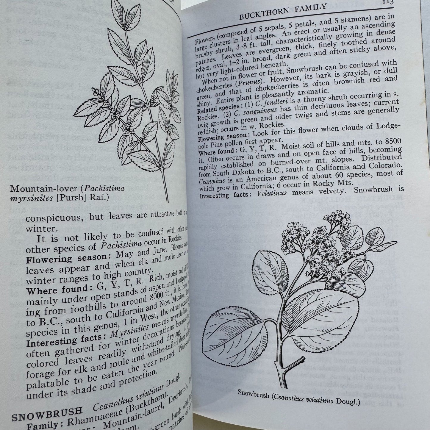A Field Guide to Rocky Mountain Wildflowers, 1963, Peterson Field Guide Paperback - Pretty Old Books