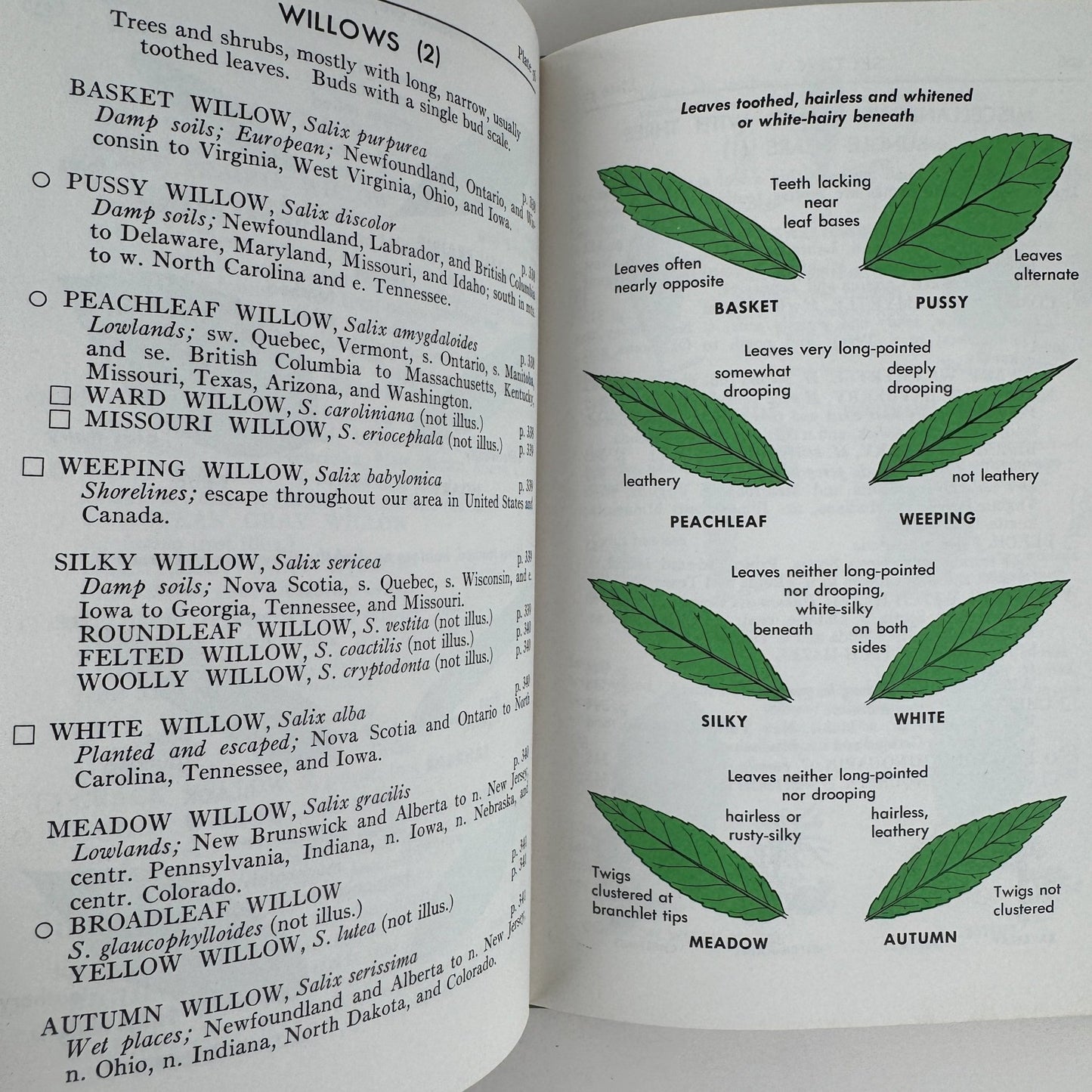 A Field Guide to Trees and Shrubs, Roger Tory Peterson 1958 Hardcover First Edition - Pretty Old Books