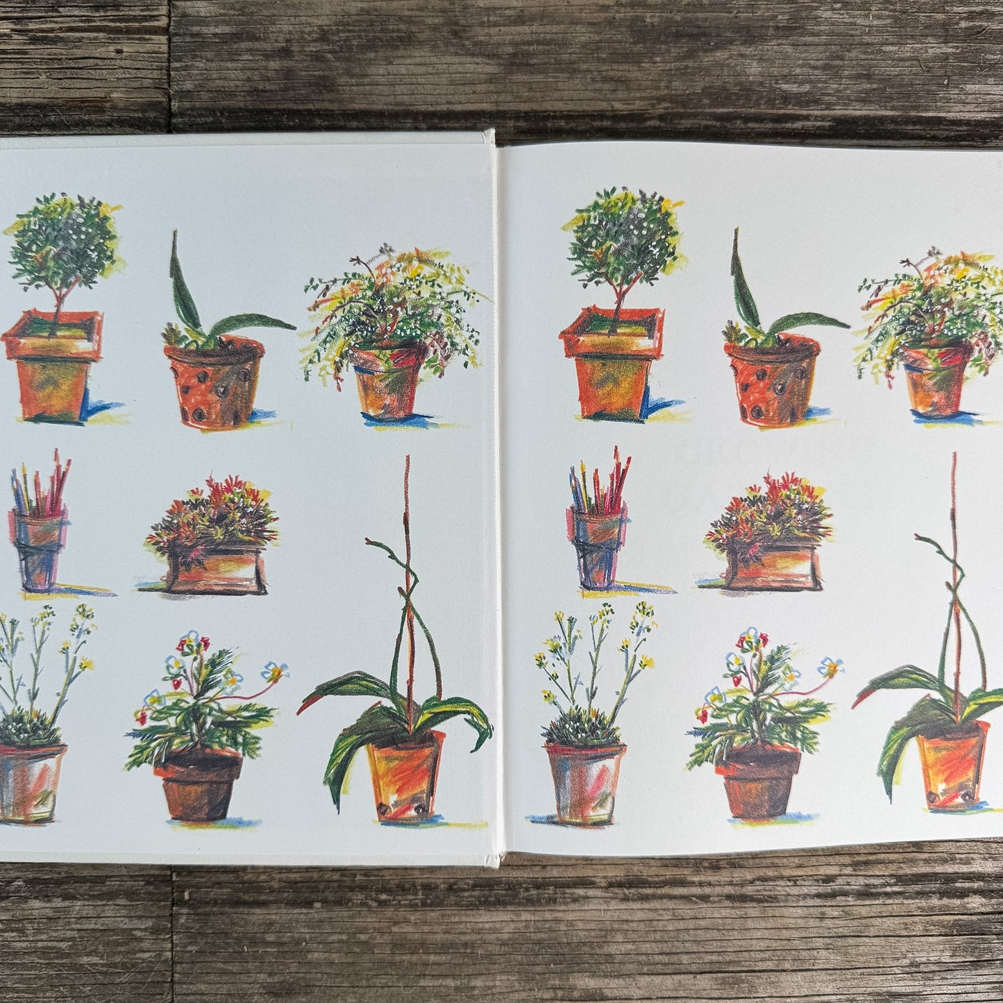 A Growing Gardener, Abbie Zabar, 1996 - Pretty Old Books