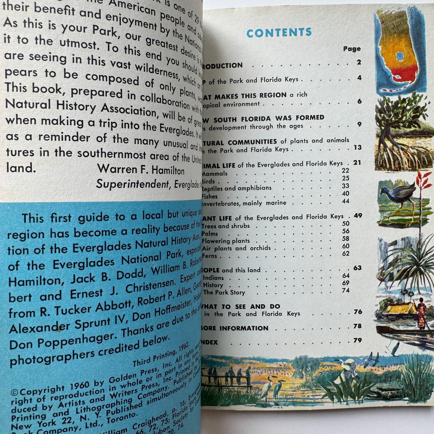 A Guide to Everglades National Park and the Nearby Florida Keys: A Golden Guide 1962 - Pretty Old Books