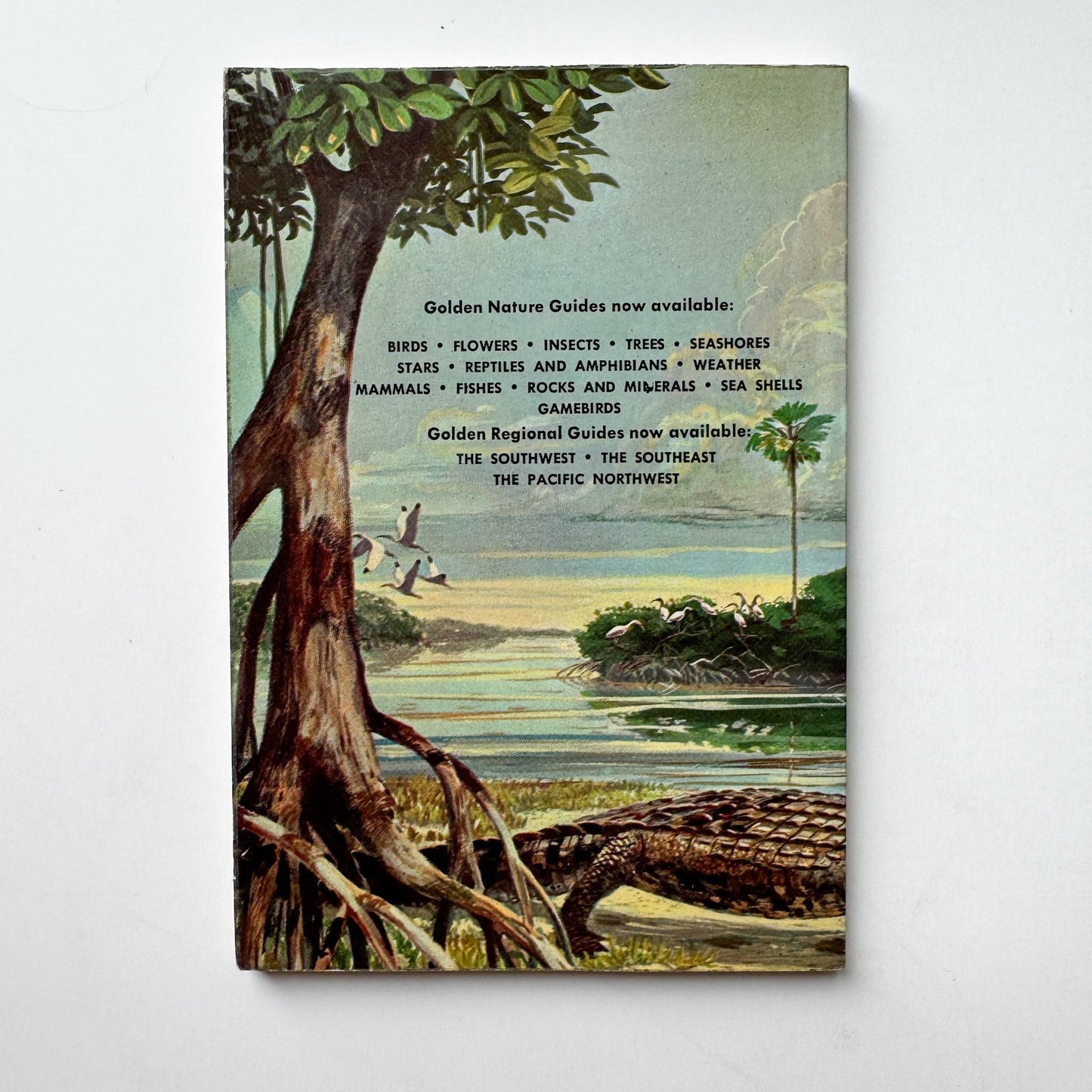 A Guide to Everglades National Park and the Nearby Florida Keys: A Golden Guide 1962 - Pretty Old Books