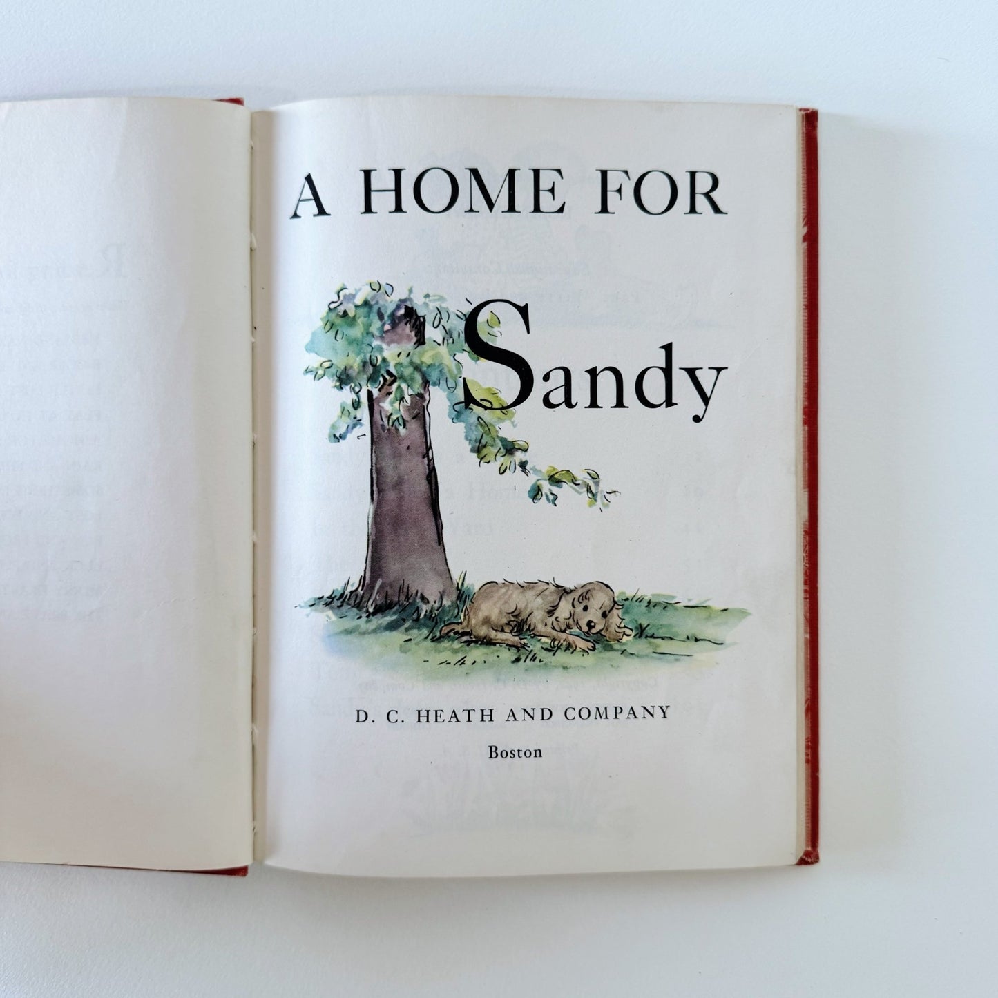 A Home For Sandy, Reading For Interest Series, Early Reader, 1942 - Pretty Old Books