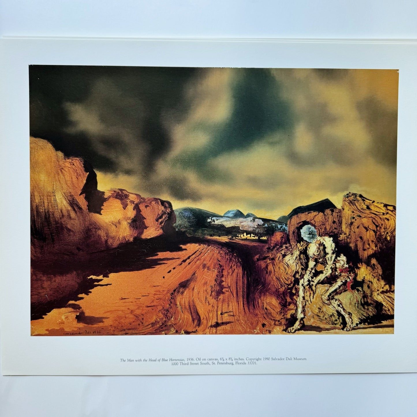 A Portfolio of Works from The Salvador Dali Museum, 12 Prints, 12.25 x 15.34 Inches - Pretty Old Books