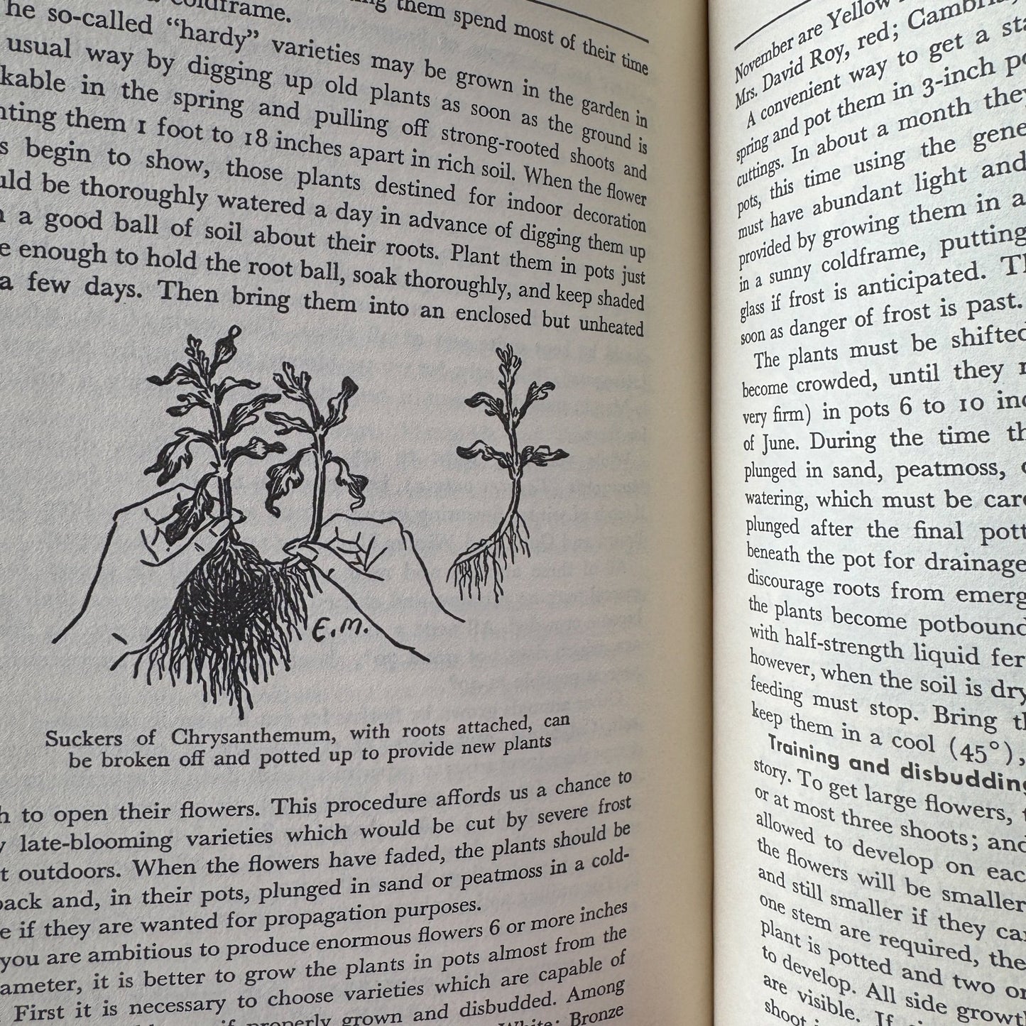 All About House Plants by Montague Free (1946) - Pretty Old Books