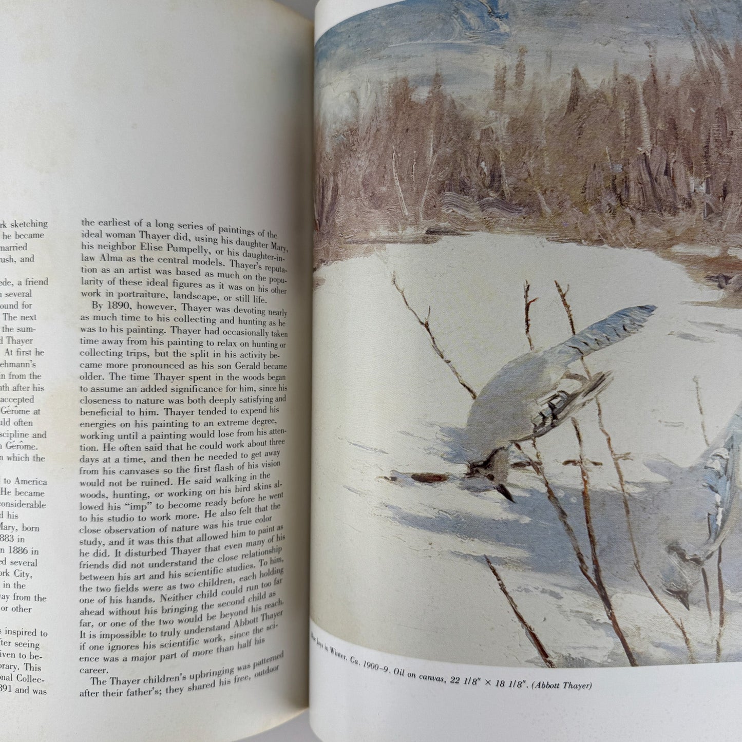 American Wildlife Painting, 1975, Fuertes, Audubon, Heade, Wilson, Thayer, Catesby - Pretty Old Books