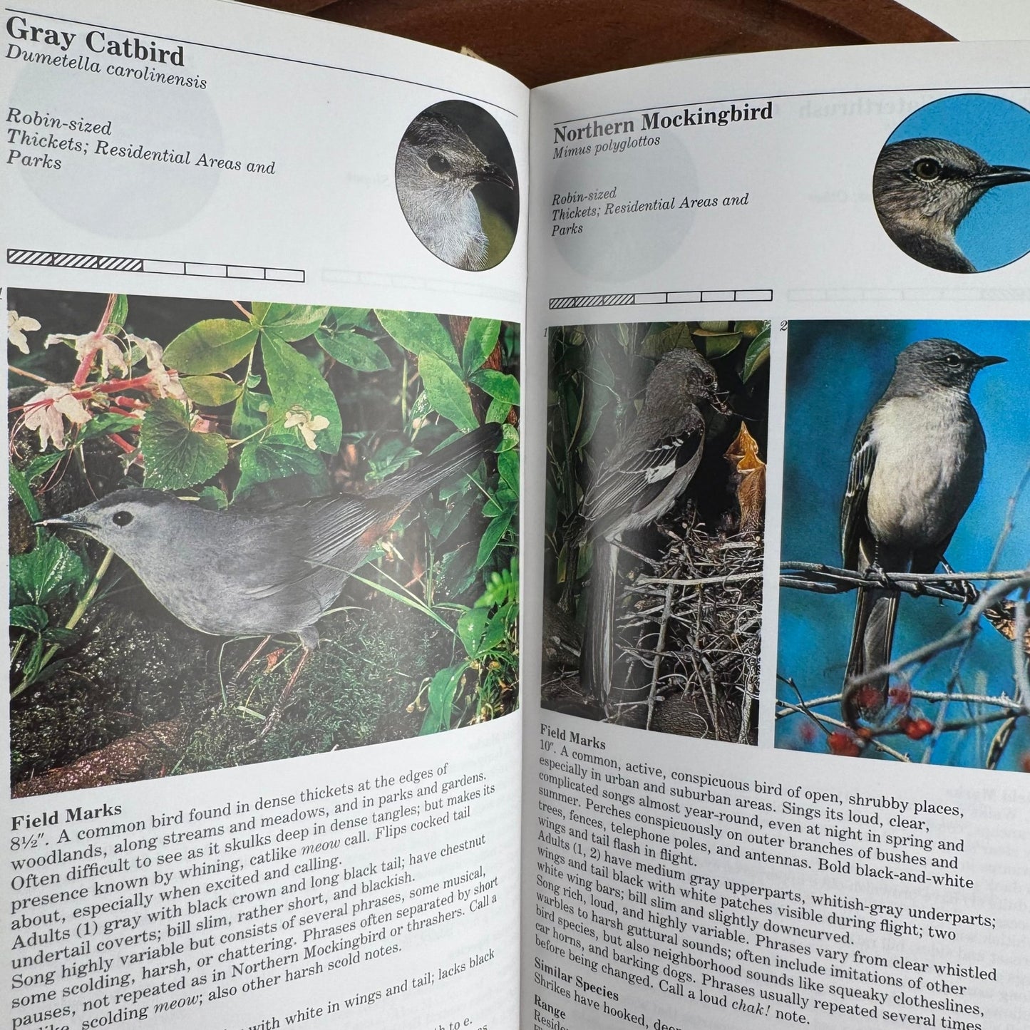 An Audubon Handbook of Eastern Birds, 1988 Field Guide to 460 Species - Pretty Old Books