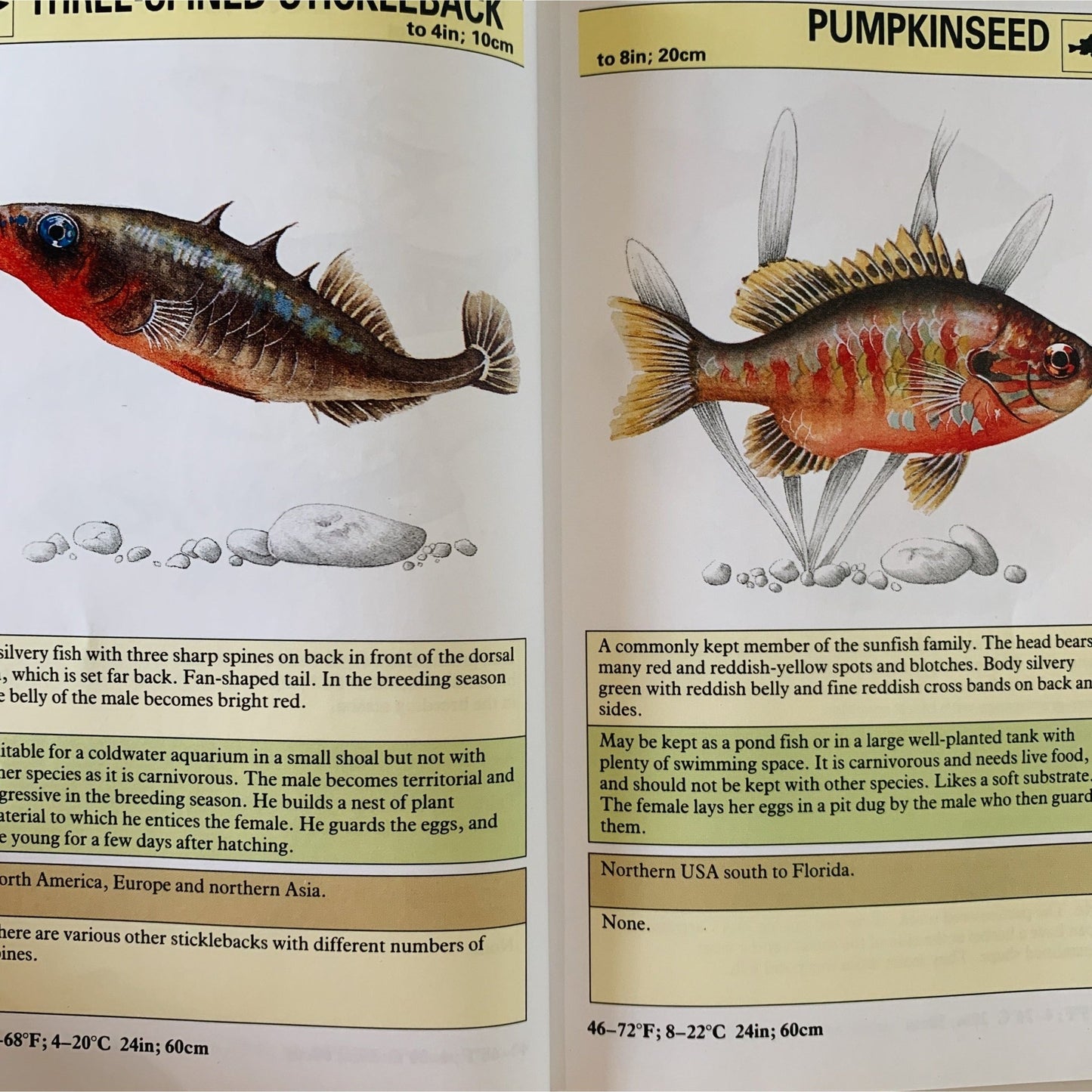 An Instant Guide to Aquarium Fish, 2001, Hardcover Field Guide - Pretty Old Books