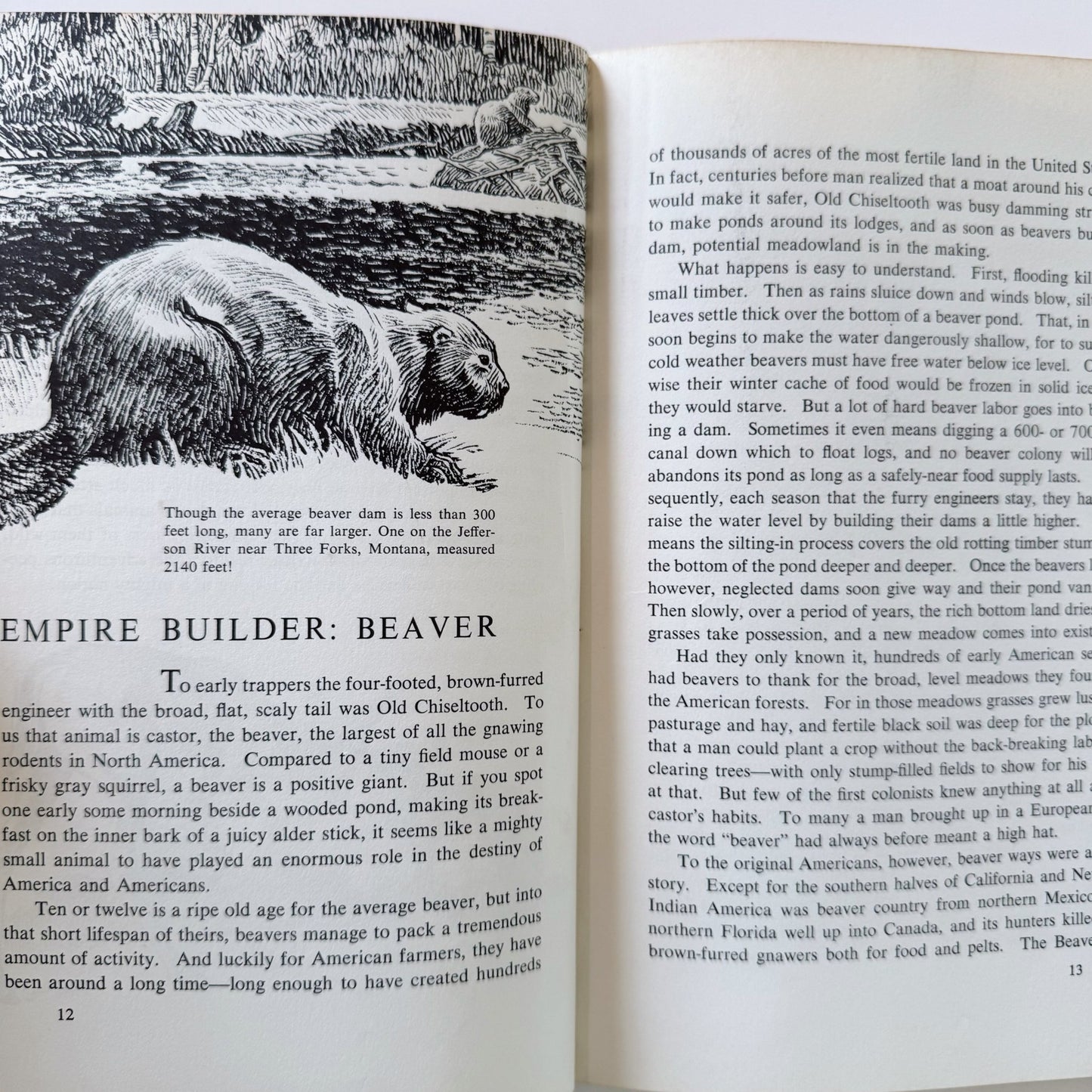Animals That Made U.S. History, 1964 Children's Hardcover Nonfiction - Pretty Old Books