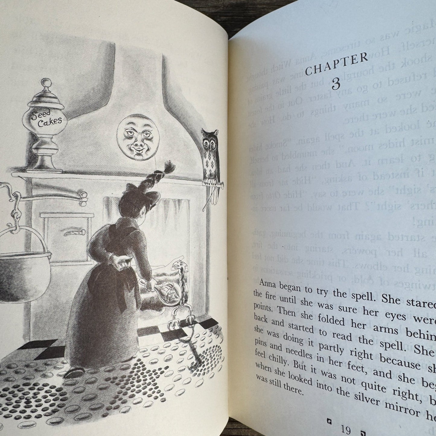 Anna Witch, Madeleine Edmondson, Illustrated by William Pène du Bois, 1982 First Edition - Pretty Old Books