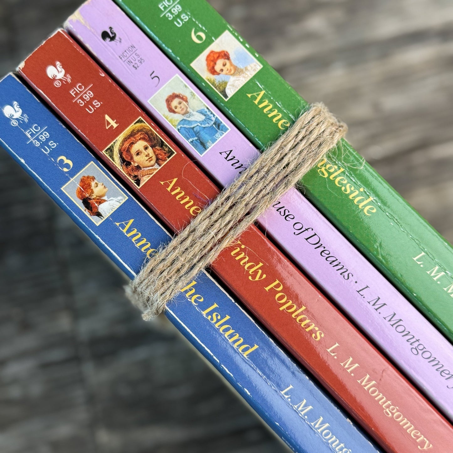 Anne of Green Gables Vintage Paperback Set, L.M. Montgomery - Pretty Old Books