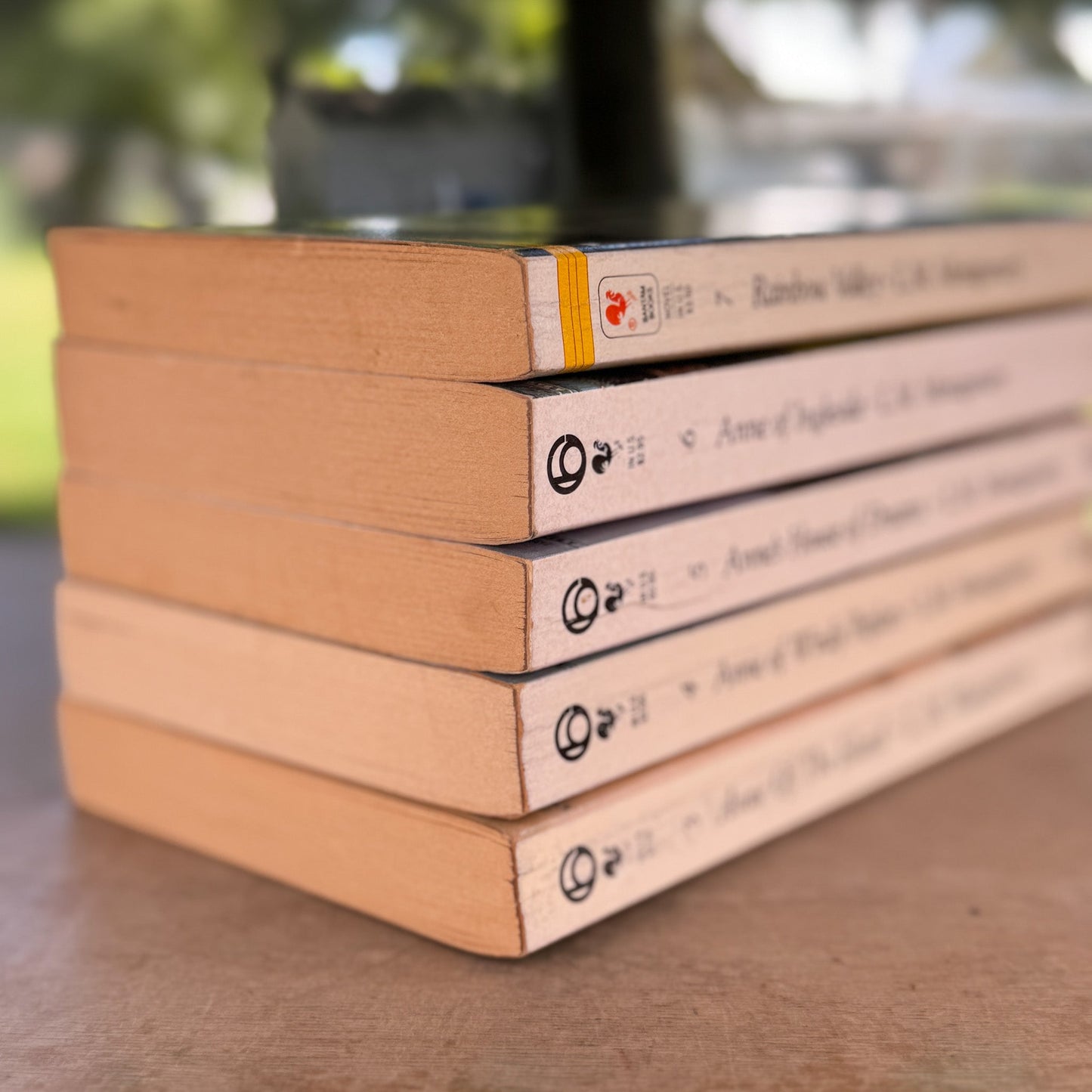 Anne of Green Gables Vintage Paperback Set, L.M. Montgomery, Bantam Classic Edition - Pretty Old Books