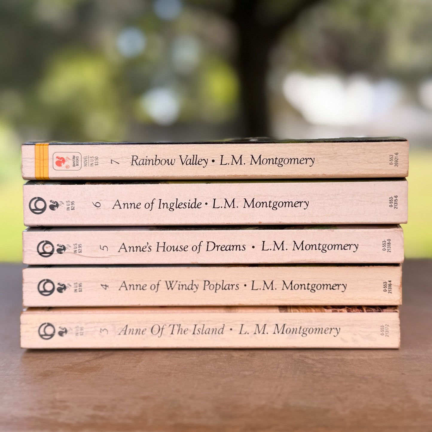 Anne of Green Gables Vintage Paperback Set, L.M. Montgomery, Bantam Classic Edition - Pretty Old Books