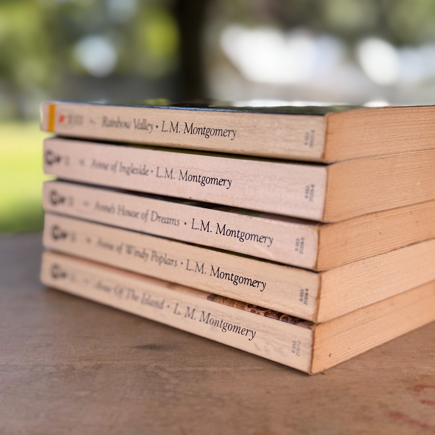 Anne of Green Gables Vintage Paperback Set, L.M. Montgomery, Bantam Classic Edition - Pretty Old Books
