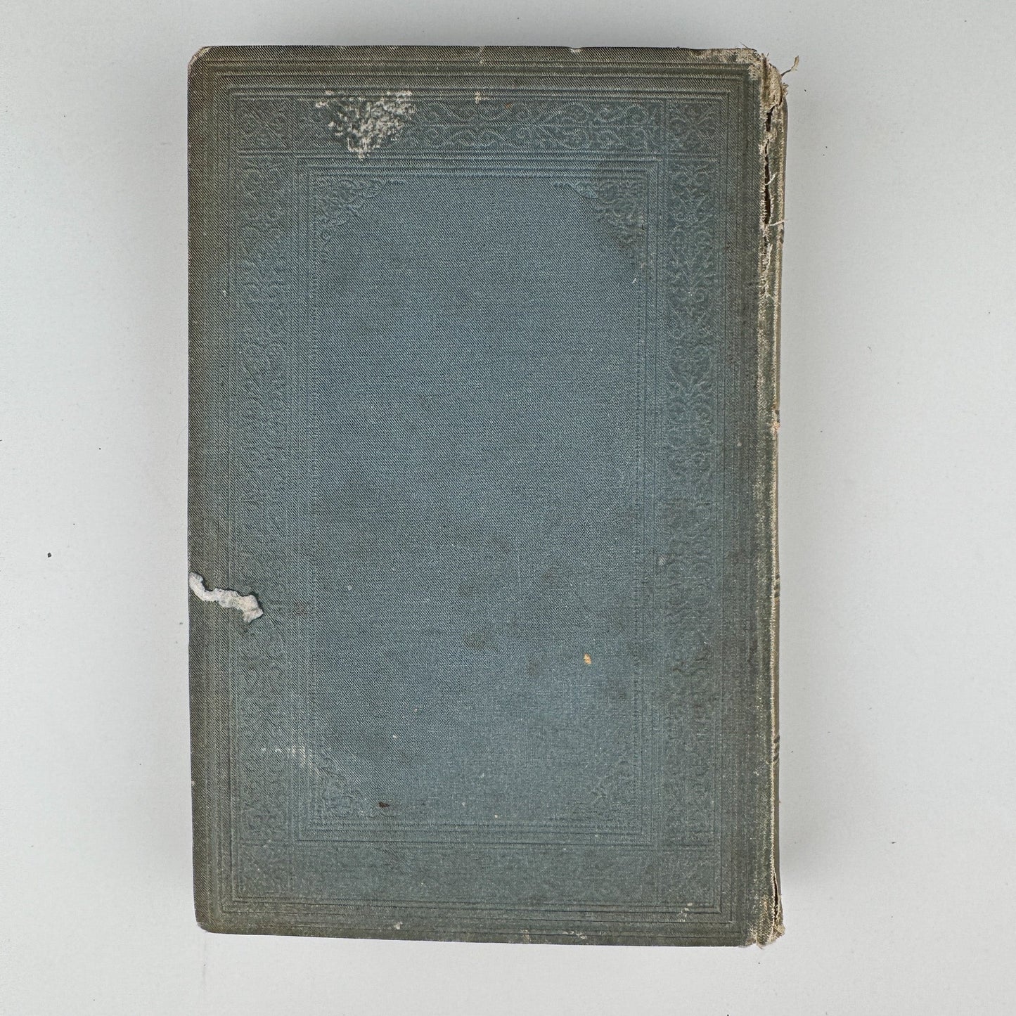 Antique 1883 German Beauty Advice Book for Women, Illustrations - Pretty Old Books