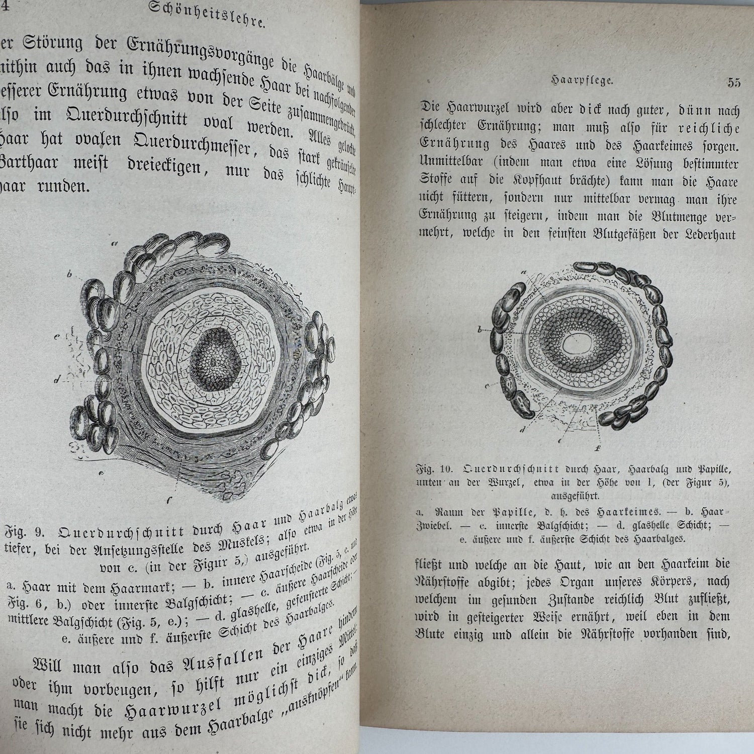 Antique 1883 German Beauty Advice Book for Women, Illustrations - Pretty Old Books