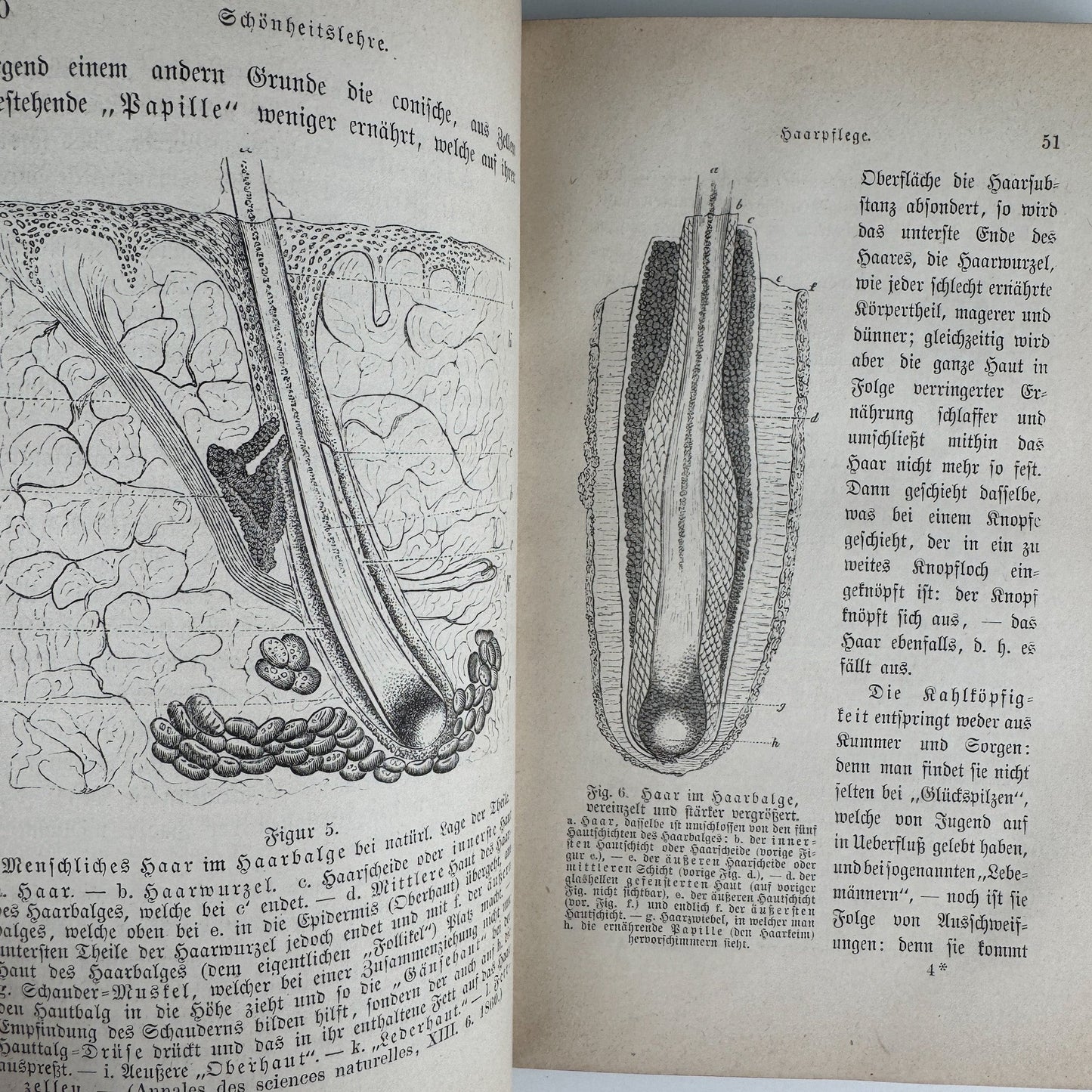 Antique 1883 German Beauty Advice Book for Women, Illustrations - Pretty Old Books