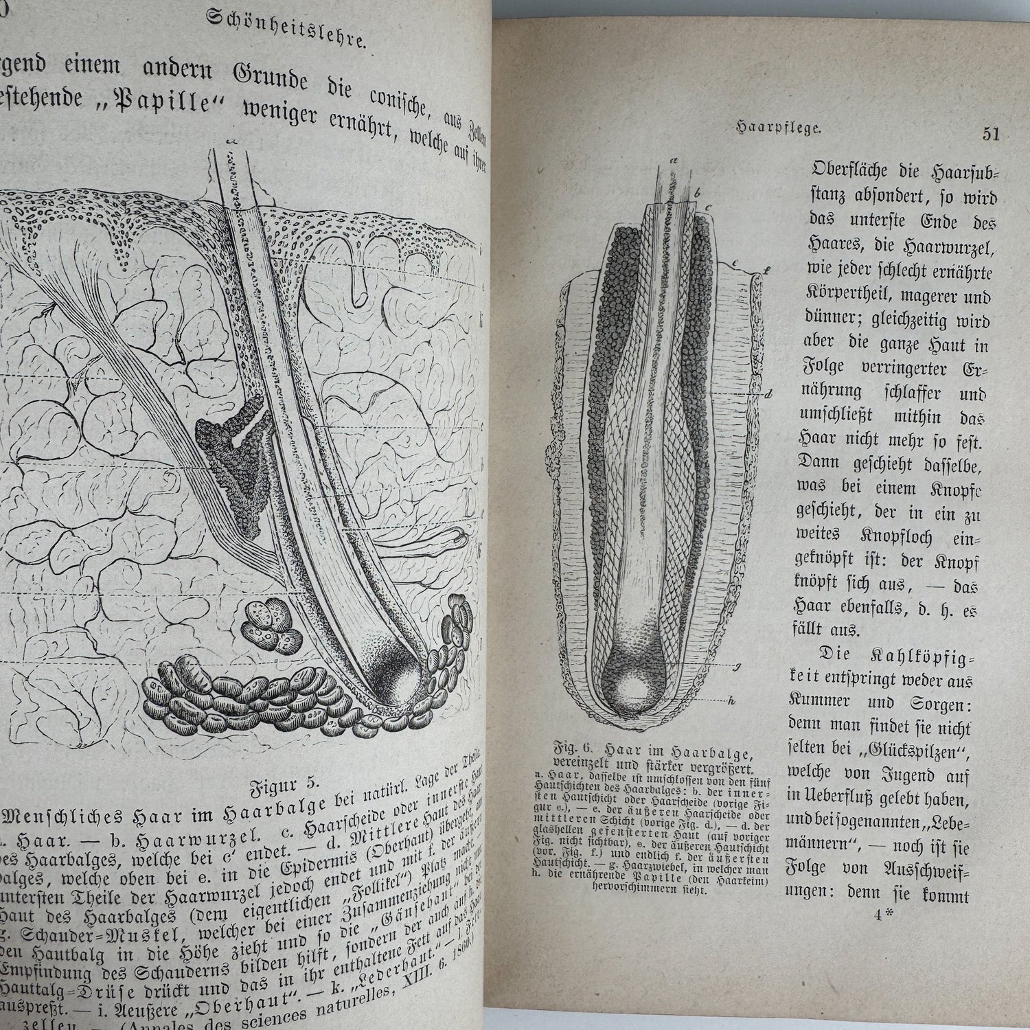 Antique 1883 German Beauty Advice Book for Women, Illustrations - Pretty Old Books