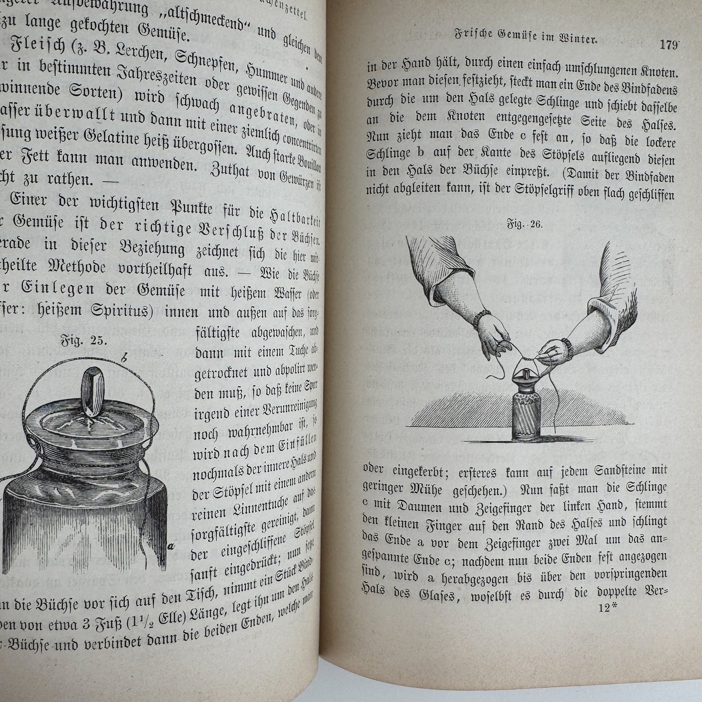 Antique 1883 German Beauty Advice Book for Women, Illustrations - Pretty Old Books