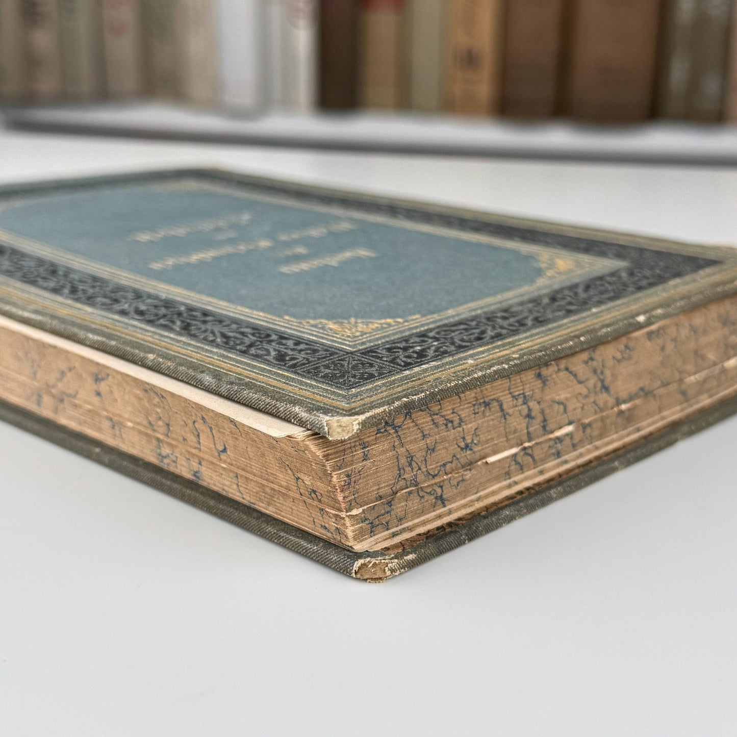 Antique 1883 German Beauty Advice Book for Women, Illustrations - Pretty Old Books