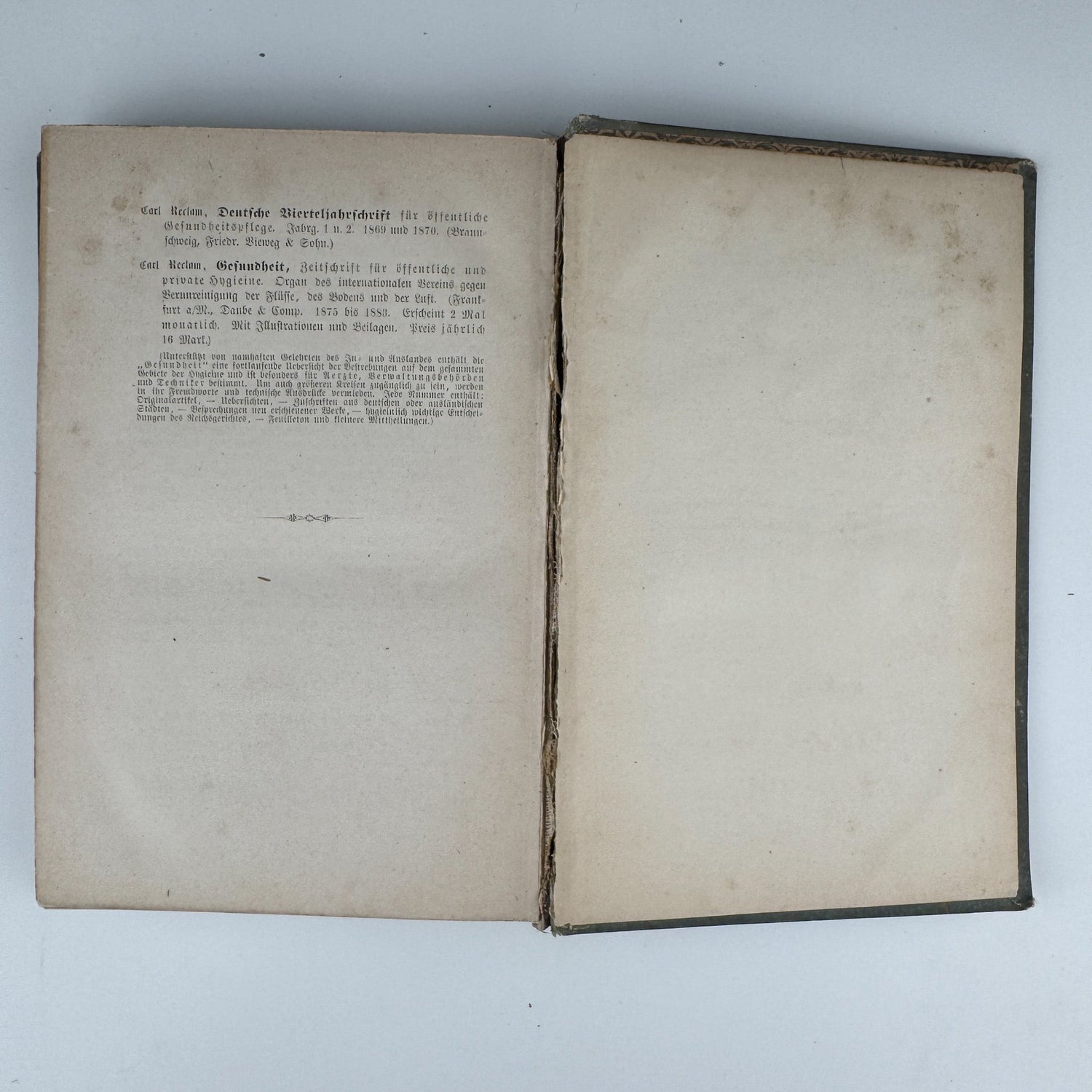 Antique 1883 German Beauty Advice Book for Women, Illustrations - Pretty Old Books