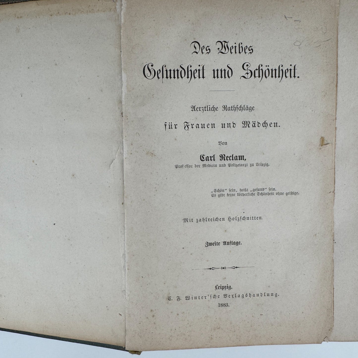 Antique 1883 German Beauty Advice Book for Women, Illustrations - Pretty Old Books