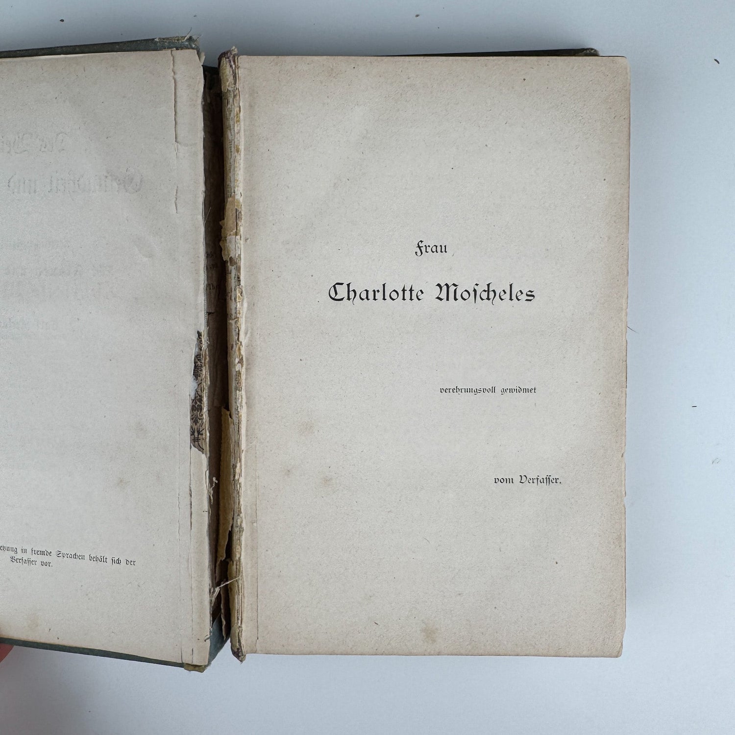 Antique 1883 German Beauty Advice Book for Women, Illustrations - Pretty Old Books