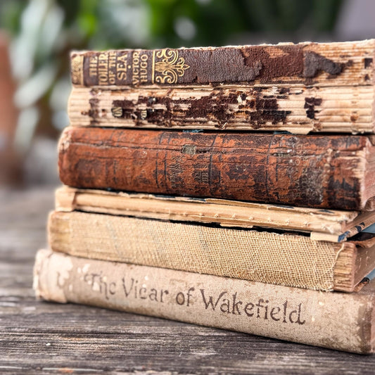 Antique Distressed Mini Book Set for Decor - Pretty Old Books