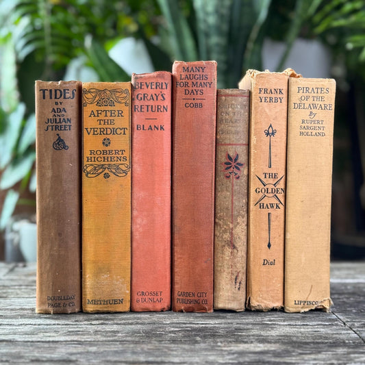 Antique Earth - Toned Book Set in Orange Red, Rust, Beige - Pretty Old Books