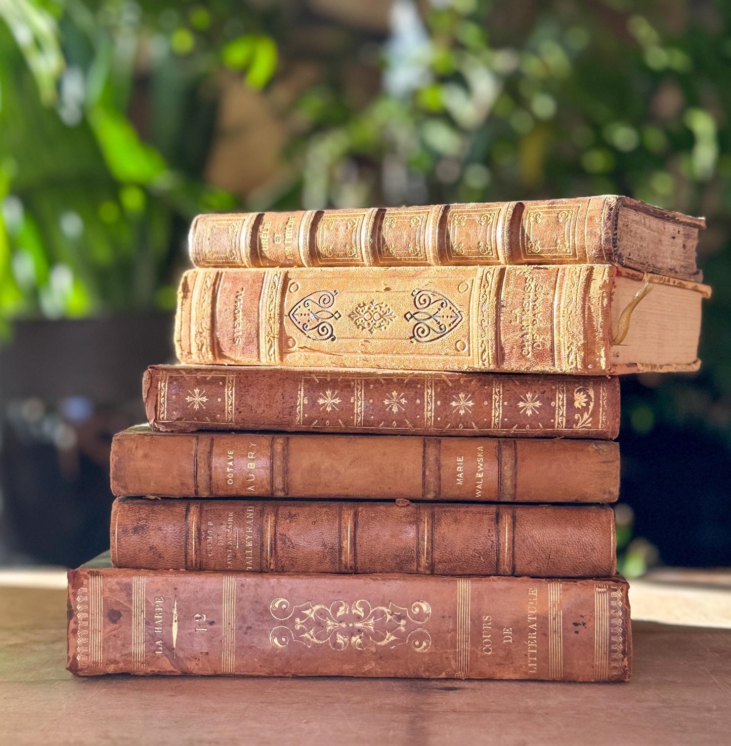 Antique French Leather Book Bundle in Caramel, Brown, and Tan - Pretty Old Books