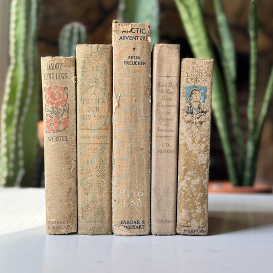 Antique Neutral Tan Book Bundle, Books by Color, Shabby Distressed Book Set - Pretty Old Books