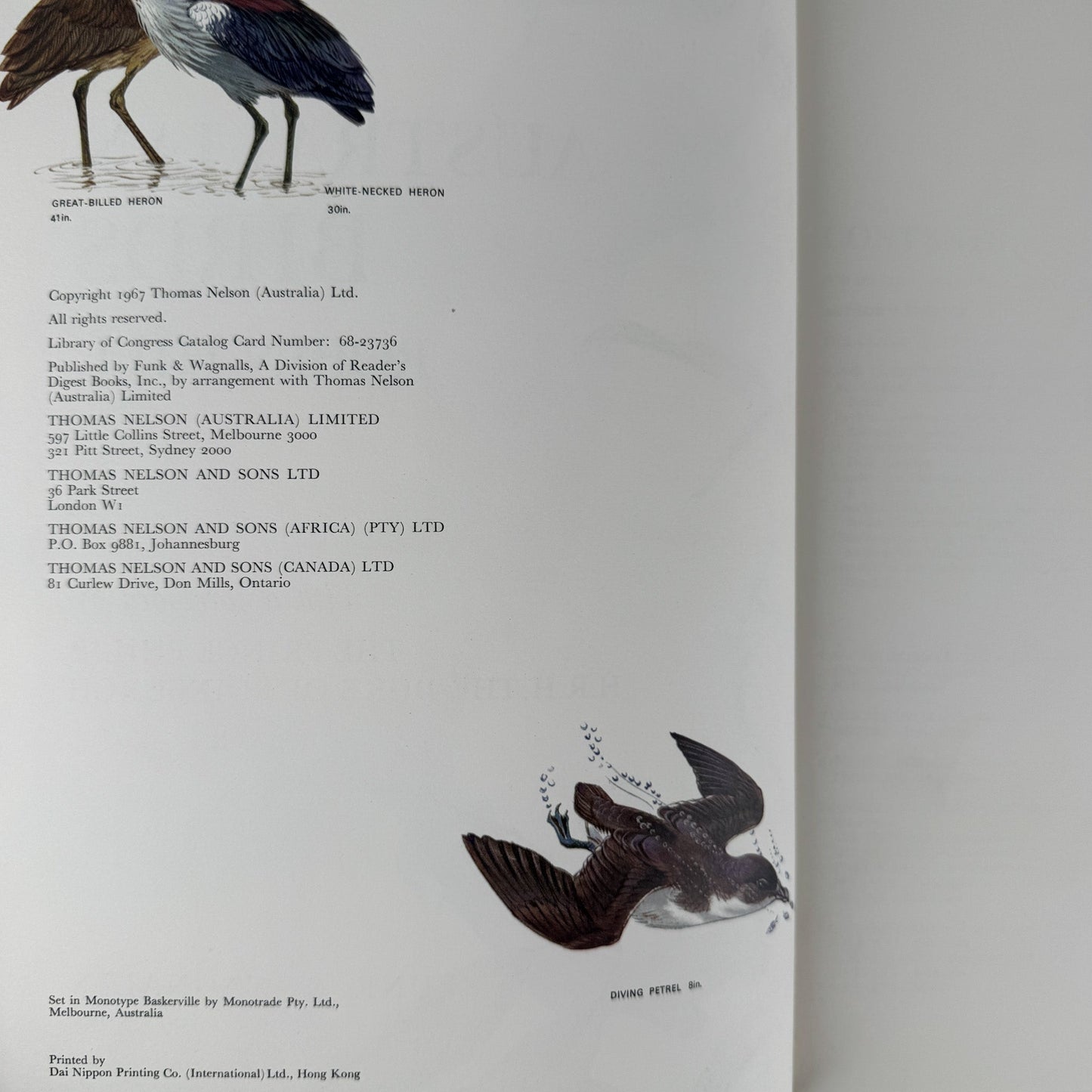Australian Birds, Robin Hill, 1967, Oversized Illustrated Bird Book - Pretty Old Books