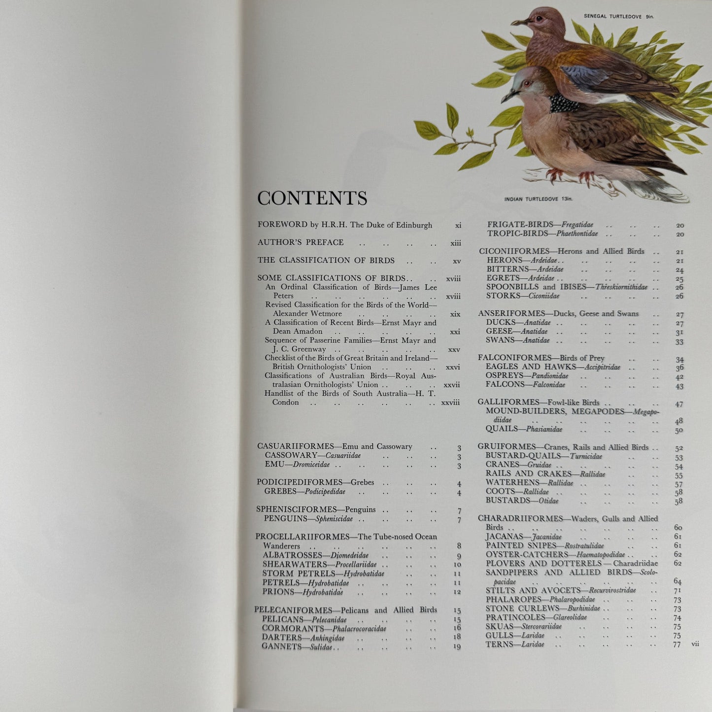 Australian Birds, Robin Hill, 1967, Oversized Illustrated Bird Book - Pretty Old Books