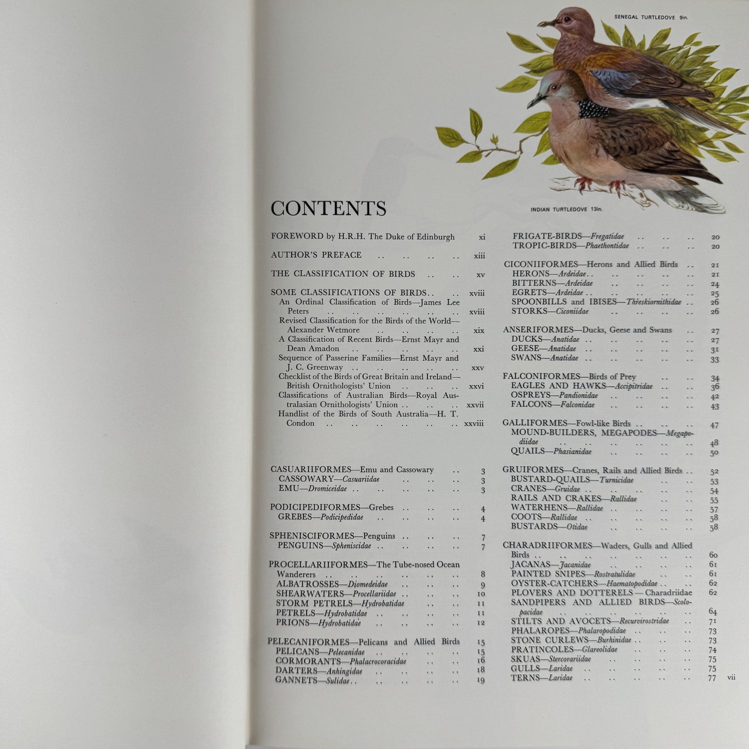 Australian Birds, Robin Hill, 1967, Oversized Illustrated Bird Book - Pretty Old Books