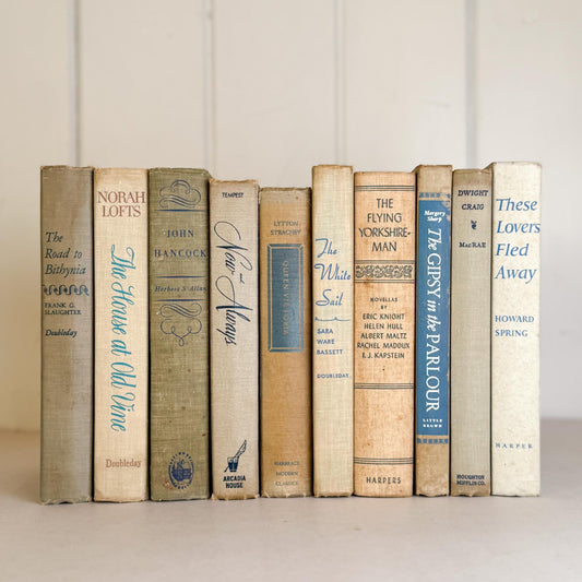 Beige, Gray, and Blue Decorative Books for Shelf Styling - Pretty Old Books