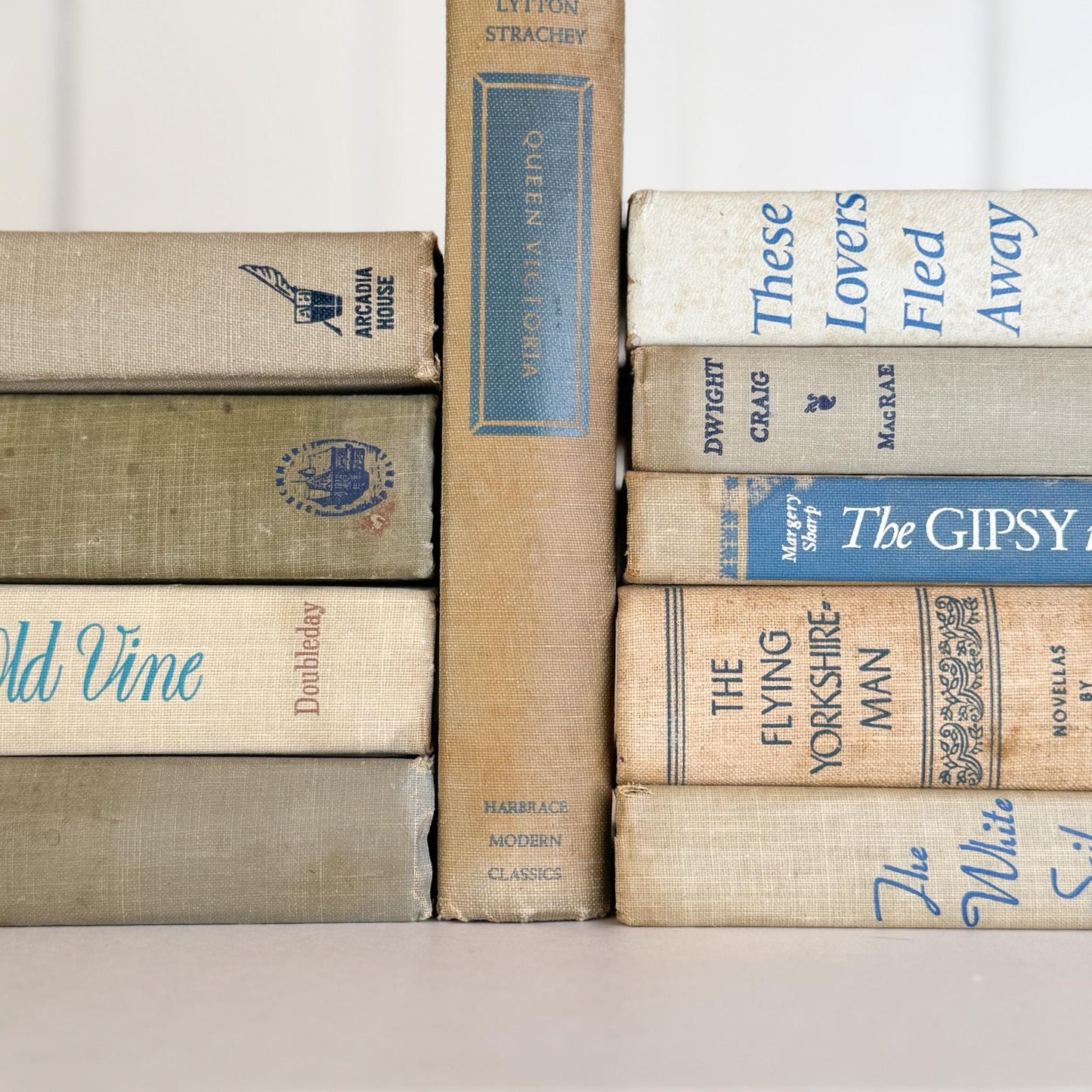 Beige, Gray, and Blue Decorative Books for Shelf Styling - Pretty Old Books