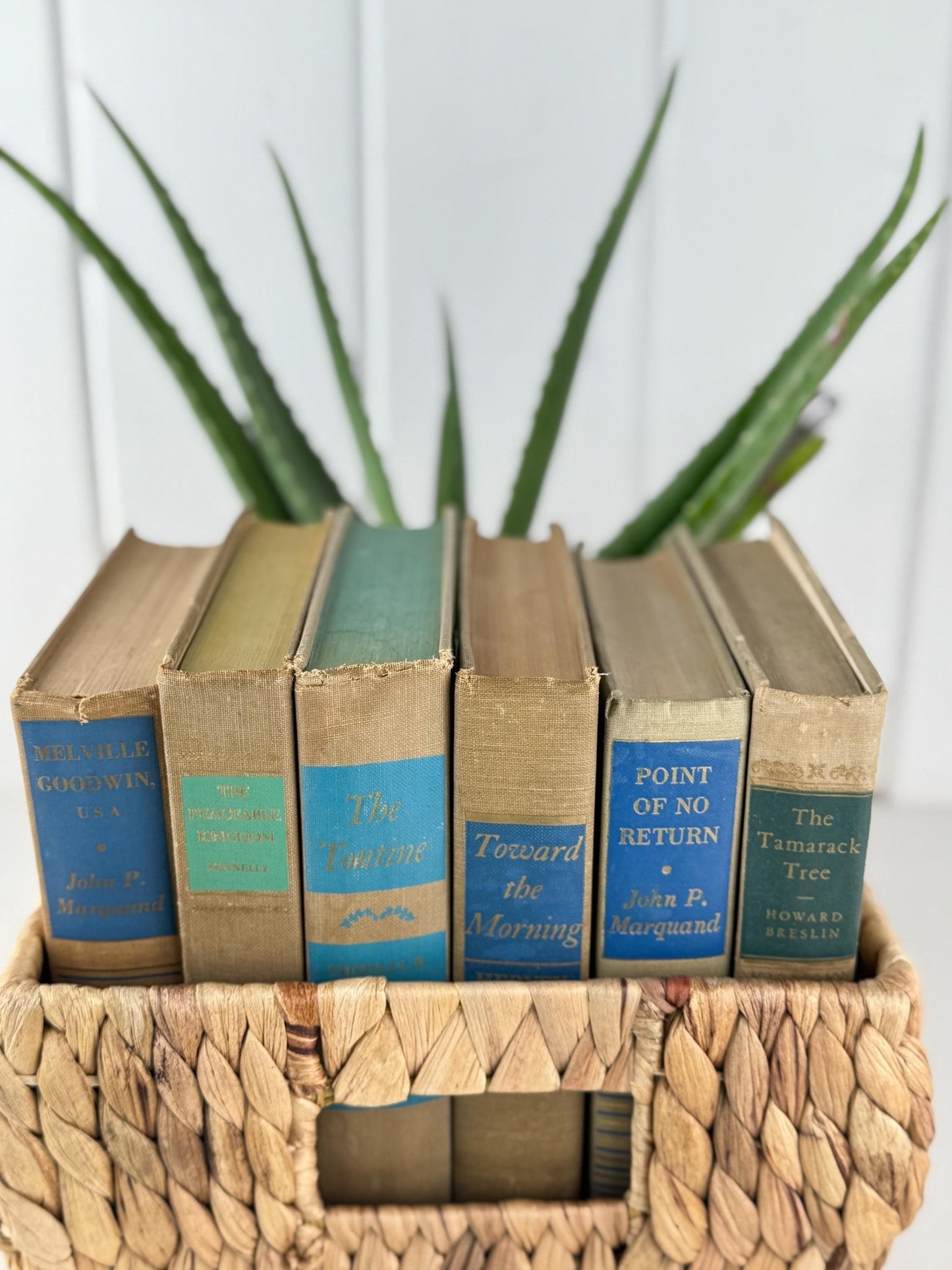 Beige Tan Blue Rustic Vintage Mid Century Book Bundle for Shelf Styling - Pretty Old Books