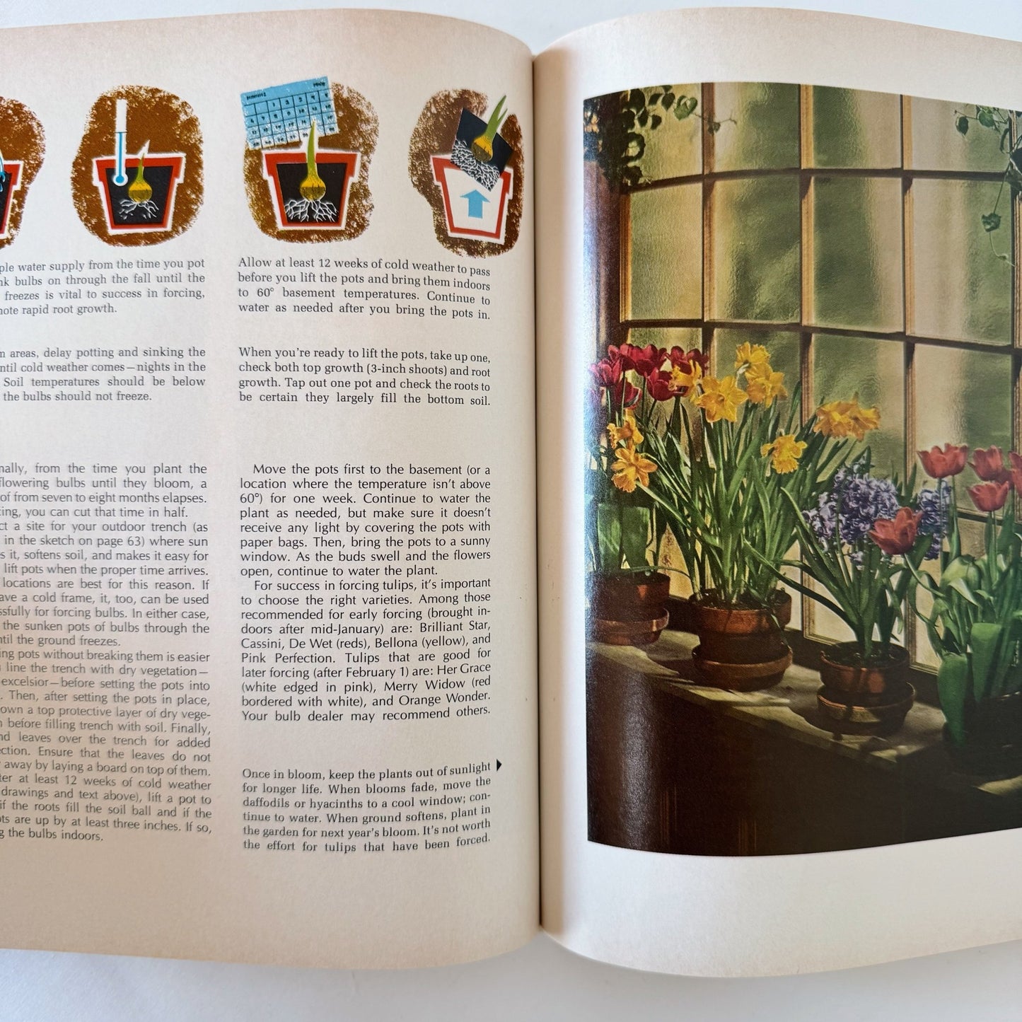 Better Homes and Gardens House Plants 1971 Hardcover Interior Design Book - Pretty Old Books
