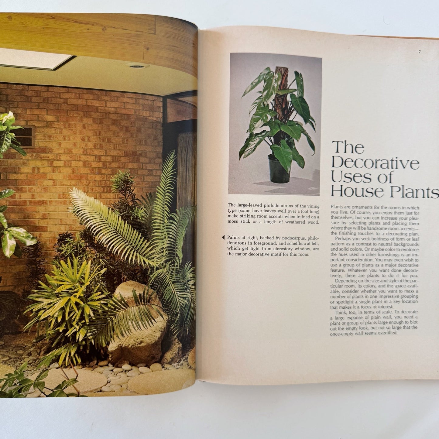 Better Homes and Gardens House Plants 1971 Hardcover Interior Design Book - Pretty Old Books