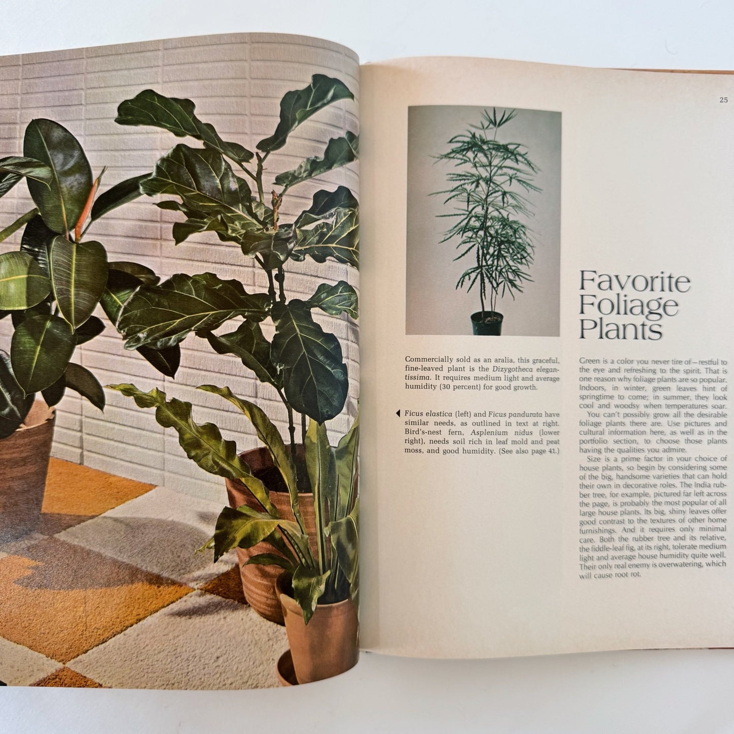 Better Homes and Gardens House Plants 1971 Hardcover Interior Design Book - Pretty Old Books
