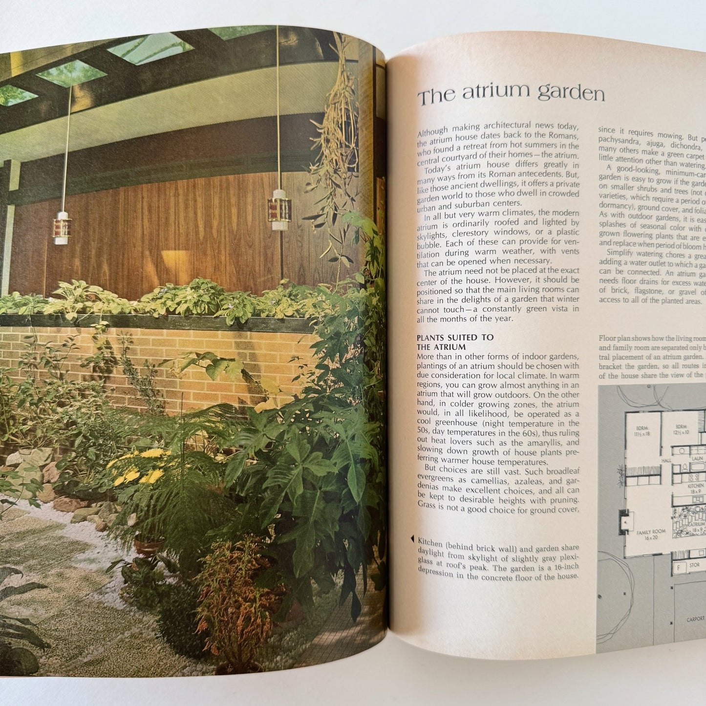 Better Homes and Gardens House Plants 1971 Hardcover Interior Design Book - Pretty Old Books