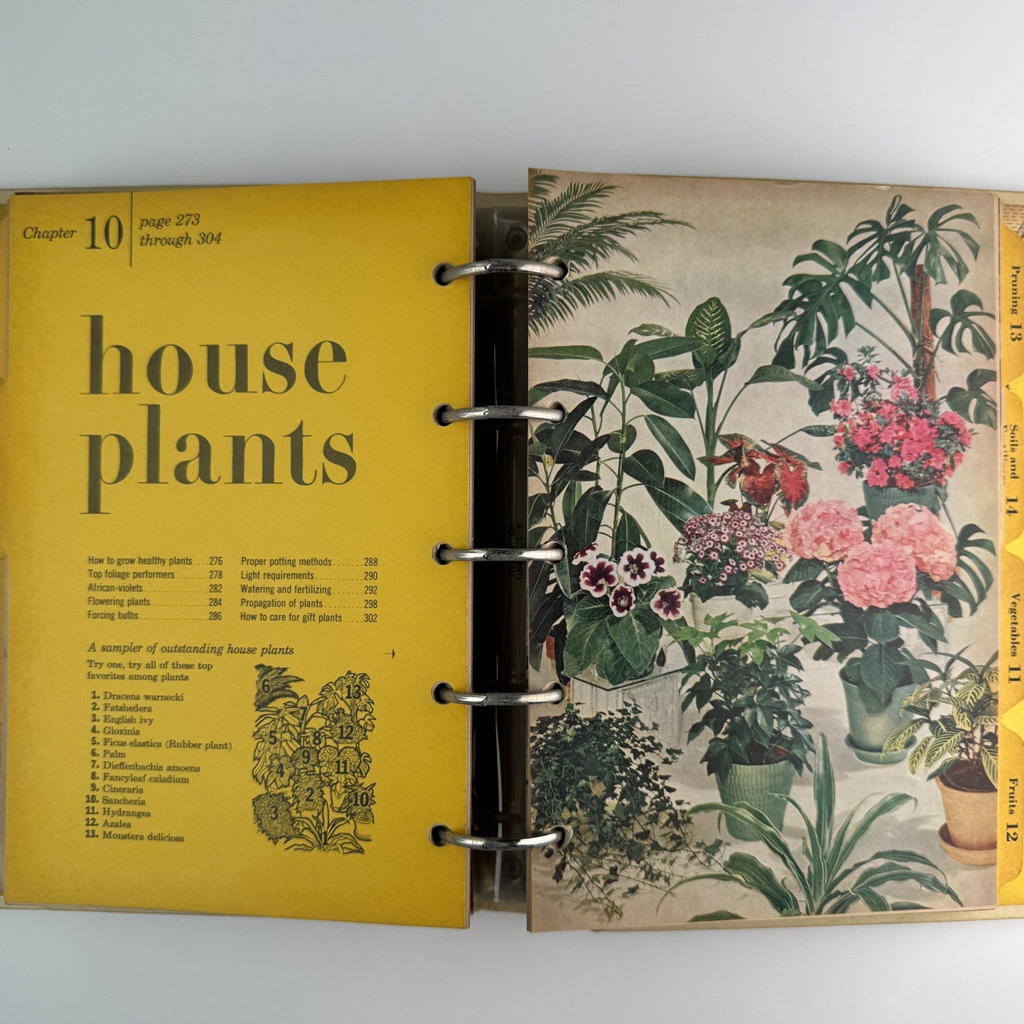 Better Homes and Gardens New Garden Book, 1961 Binder Book - Pretty Old Books