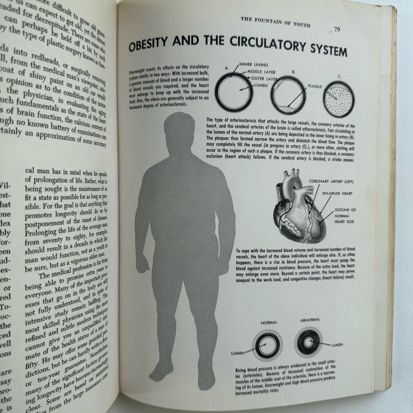 Better Living Encyclopedia, Family Health, Illustrated Anatomy, Weight, Mental Health, Pregnancy, 1963 - Pretty Old Books